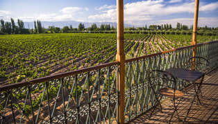 balcony overlooking vineyards at club tapiz, a bodega (winery) in the maipu area of mendoza, mendoza province, argentina_314_179